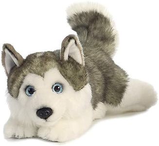 Aurora World Animale Aurora, 26263, MiYoni Husky sdraiato, 28cm, Peluche, Grigio, Animalier, Colore Grey