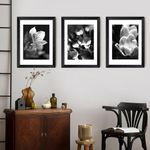 LIYAOLI Framed Wall Art Paintings for Bedrooms,Black and White Wall Framed Pictures for Living Room 12 x 16 Inch Set of 3 Wall Art For Home Office Bathroom Decor Flower Paintings To Hang on Walls