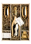 Bottega Gold Prosecco DOC 75cl Gift Set Hamper With 2 Metallic Gold Champagne Flutes, Chocolates and Gift Box - Birthday, Congratulations Gift, For Women and Men (Metallic Tops)