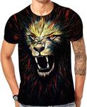 Mens 3D Print T Shirt，Funny Cool Gr