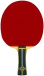 Butterfly Zhang Jike ALC Racket - G