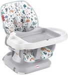 Fisher-Price SpaceSaver High Chair - Pacific Pebble, Infant-to-Toddler Dining Chair