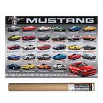 EuroGraphics Ford Mustang Evolution 50th Ls Poster 36 x 24 inch