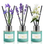 Seed Spring Reed Diffuser Set of 3, Lavender Jasmine Freesia Oil Reed Diffusers for Bedroom Living Room Office Aromatherapy Oil Reed Diffuser for Gift & Stress Relief 50ml x 3