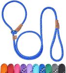 Petarea 5 FT Slip Lead Dog Leash, Heavy Duty Rope Leash for Small Medium Large Dogs, No Pull Training Lead with Reflective Thread, Strong Comfortable Loop Leash (Blue Stripe, Medium(3/8"))