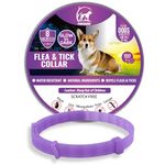 Tick Collars For Dogs