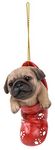 Vivid Arts- Hanging Christmas Stocking Pet Pals- Pug