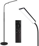 Dimunt LED Floor Lamp, Bright 15W F