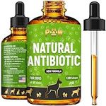 Antibiotic for Dogs | Dog Antibioti