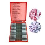 Microscope Slides