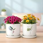 Xtore® Aureflora Ceramic Planter with Drainage Tray | Artistic Floral Print Pot for Home, Study Table & Window Décor – (White, 2 Piece, Planter ONLY)