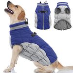 OUOBOB Dog Coat, Winter Dog Coats for Medium Dogs, Fleece Dog Vest with Harness Built in, Dog Cold Weather Coats, Waterproof Dog Snowsuit, Dog Winter Jacket Windproof, Dog Puffer Jacket Blue M