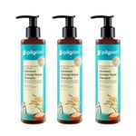 Pilgrim Korean Rice Water & Collagen Advanced Damage Repair Shampoo - 200ml (Pack of 3) | with 17 Amino Acids, Wheat Protein & 5 Ceramides | Paraben-Free | For Dry & Damaged Hair | For Women and Men