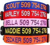 GoTags Personalized Dog Collar, Cus