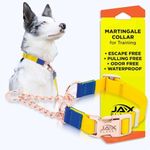 Jelly Color-Block Martingale Collar for Dogs with Buckle and Chain, Heavy-Duty D-Ring - No Pull Collar for Training, Walking - Adjustable, Waterproof, Escape-Proof, Anti-Slip (Yellow-Blue C3)