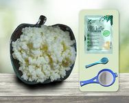 Feelgood Kefir™ - LIVE BIG SIZED Milk Kefir Grains (20 grams) | Large Strainer, Spoon & 1 Complementary Milk Kefir Starter Culture Sachet | Contains 55-60 Strains of Live Active Cultures* | Lifetime Reusable & Multiplying Grains | Lifetime Support | Instructions Manual, Demo Video, FAQs