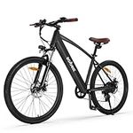 ACTBEST Core Electric Bike for Adul