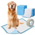 ZOIVANE Training Pads for Dogs with Tape - Pack of 60 | Pets Training Pads, Pee Pads for Dogs, Pee Mat for Dogs, Dog Toilet Mat, Puppy Training Pads, Dog Potty training Pads - 60*90 cm - Tape Free