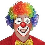 Beistle Rainbow Clown Wig 1 Count