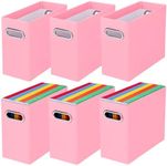 BELLE VOUS Pink Cardboard Hanging F