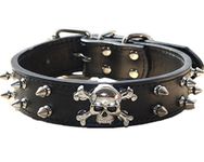 haoyueer Spiked Leather Dog Collar - 2 Rows Bullet Rivets Studded PU Leather - Cool Skull Pet Accessories for Medium and Large Dogs … (M, Black)