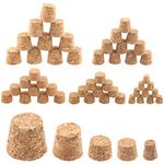 Rustark 100Pcs 5 Sizes Mini Cork Stoppers Tapered Cork Plugs Small Corks Assortment Wooden Replacement Assorted Corks for Craft Glass Jars Wine Bottles