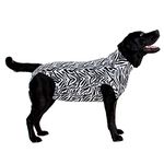 MPS Medical Pet Shirt Dog, Surgery Recovery Suit, Zebra-Print, Medium