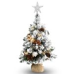 24 Inch 60CM Snowy Mini Christmas Tree, Small Tabletop Flocked Tree with LED Lights, Pine Cones, Balls, Star Tree Topper, Mini Gift Box and Cloth Bag Base, Xmas Decorations (Mini Christmas Tree)