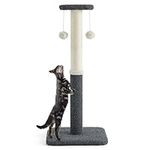 Lesure 34" Tall Cat Scratching Post