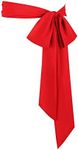 Juweniz Women's Long Chiffon Sash W