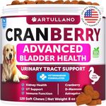 Dog UTI Treatment - Cranberry Supplement for Dogs - Bladder Control for Dogs - Dog Urinary Tract Infection Treatment - UTI Medicine for Dogs - Dog Cranberry Supplement - Kidney Support - 120 Chews