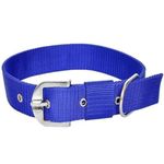 YOUNIQUE MERCHANDISE Fancy Nylon Export Quality Dog Collar (Extra Large, Blue)