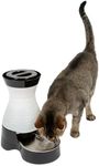 PetSafe Healthy Pet Water Station - Small, 64 oz Capacity - Gravity Pet Water Fountain, Automatic Cat Water Fountain, Dog Water Fountain, Water Dispenser - Removable Stainless Steel Bowl Included
