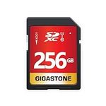 Gigastone 256GB SD Card UHS-I U1 Cl