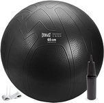 Everlast FIT Pro Grip Fitness Ball 65 cm - Burst-Resistant, Anti-Slip Stability Ball with Pump - Perfect for Athletes & Beginners, Balance, Yoga, at-Home Gym, Low-Impact Workouts, Supports 270 lbs