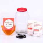 Gutbasket DIY Kombucha Kit (Regular)- Live SCOBY Culture and Starter Tea, 4 L Fermentation Jar, Tea, Organic Sugar, Kombucha Cover and Instructions Book- Make Your Probiotic at Home Easily
