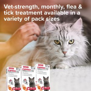 Beaphar FIPROtec Combo Cat Flea Treatment – Spot-On Protection