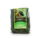 Fluker's 8 qt Green Reptile Terrarium Moss