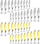 HESTYA 40 Pieces Fishing Lures Fish