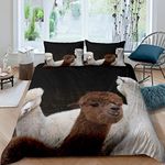 Homemissing Llama Alpaca Duvet Cover Cute Llama Bedding Set 3D Animal Comforter Cover for Boys Girls Kids South American Animals Bedding & Linen Double