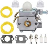 Hippotech C1UH142 Carburetor with F