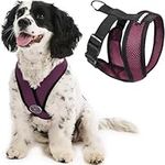 Gooby Comfort X Head-in Harness, Purple, Medium