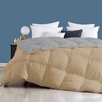 Day Care - 400 GSM Hotel Quality-Down Alternative Reversible Comforter (60" x 90" Inches/152cm x 228cm) - Comforter Single Bed|Silver/Beige