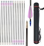 ZSHJGJR 12 Pieces 30 Inch Fiberglass Arrow Archery Practice Target Arrows 6mm Fun Game Arrows with Arrow Quiver for Beginner Recurve Compound Bow (Purple Arrow+Quiver)