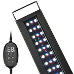 Light Timer For Fish Tank