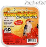 BestNest Set of 24 Pine Tree Never Melt Hot Pepper Suet Cakes, 12 oz. Each