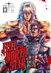 Fist of the North Star, Vol. 13 (Volume 13)