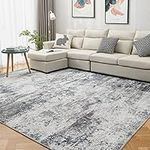 Area Rug Living Room Rugs: 5x7 Indo