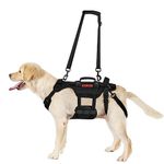 OneTigris Dog Lift Harness for Large Dogs, Dog Support Sling for Back Legs, Dog Lifter with Handles Invictus Multifunctional Mobility Assistance Vest Dog Hip Support Brace (Black, M)