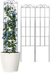 Sturdy Garden Trellis